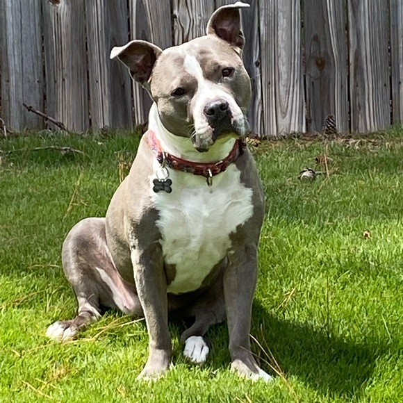 Meet your Posher, CathyBunny - Picture 9 of 16